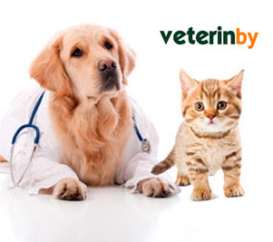 veterinários em Extremadura