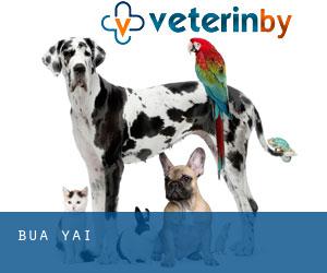 บัวใหญ่รักษ์สัตว์ (Bua Yai)