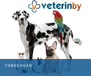 爱心宠物诊所 (Yongchuan)
