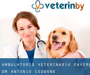 Ambulatorio Veterinario Favero Dr. Antonio (Codognè)