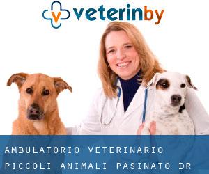 Ambulatorio Veterinario Piccoli Animali Pasinato Dr. Maurizio (Vedelago)