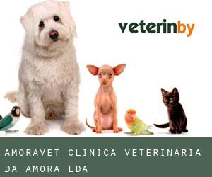 Amoravet-clínica Veterinária Da Amora Lda