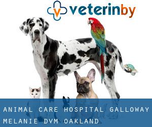 Animal Care Hospital: Galloway Melanie DVM (Oakland)