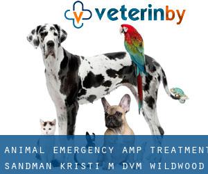 Animal Emergency & Treatment: Sandman Kristi M DVM (Wildwood)