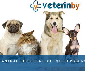 Animal Hospital of Millersburg