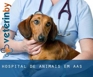 Hospital de animais em Aas