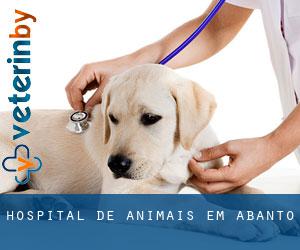 Hospital de animais em Abanto