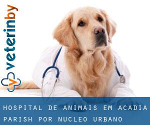Hospital de animais em Acadia Parish por núcleo urbano - página 1