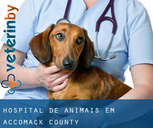 Hospital de animais em Accomack County