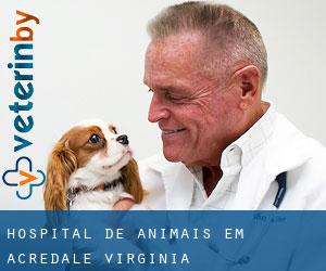 Hospital de animais em Acredale (Virginia)