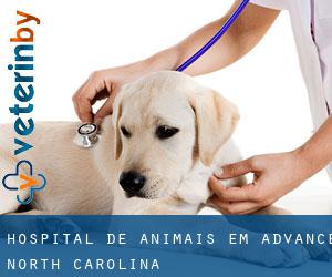 Hospital de animais em Advance (North Carolina)