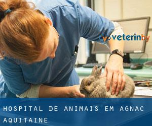 Hospital de animais em Agnac (Aquitaine)