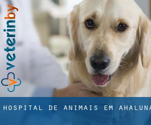 Hospital de animais em Ahaluna