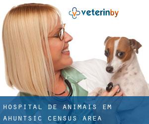 Hospital de animais em Ahuntsic (census area)
