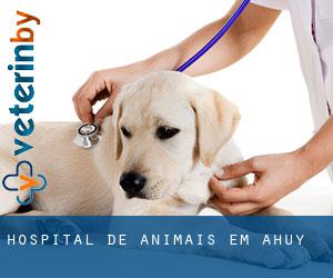 Hospital de animais em Ahuy