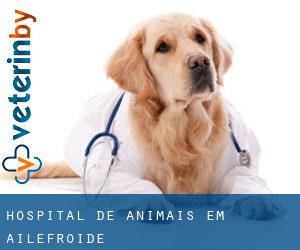 Hospital de animais em Ailefroide
