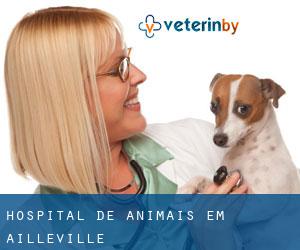 Hospital de animais em Ailleville