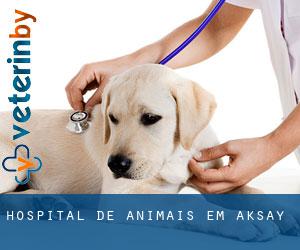 Hospital de animais em Aksay