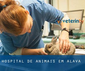 Hospital de animais em Alava