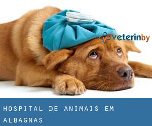 Hospital de animais em Albagnas