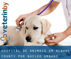 Hospital de animais em Albany County por núcleo urbano - página 1
