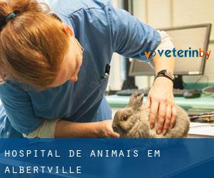 Hospital de animais em Albertville