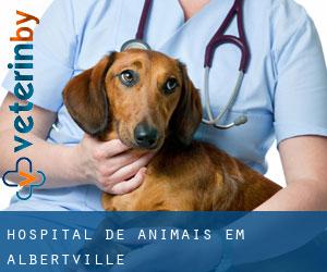 Hospital de animais em Albertville