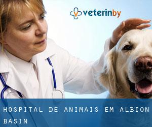 Hospital de animais em Albion Basin