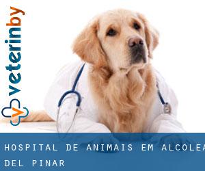 Hospital de animais em Alcolea del Pinar