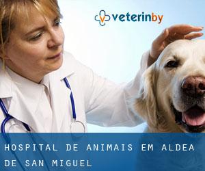 Hospital de animais em Aldea de San Miguel