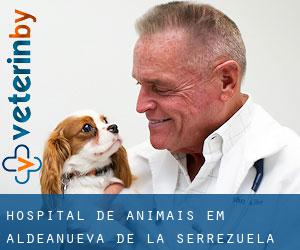 Hospital de animais em Aldeanueva de la Serrezuela