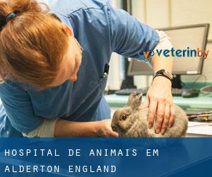 Hospital de animais em Alderton (England)