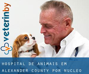 Hospital de animais em Alexander County por núcleo urbano - página 1