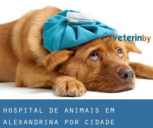Hospital de animais em Alexandrina por cidade importante - página 1
