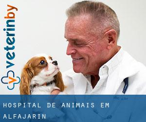 Hospital de animais em Alfajarín
