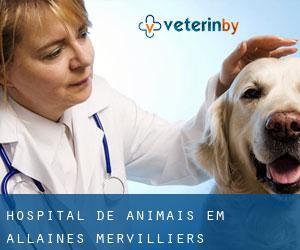 Hospital de animais em Allaines-Mervilliers
