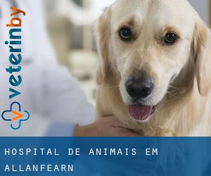 Hospital de animais em Allanfearn