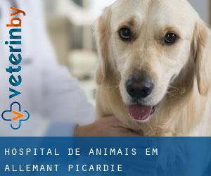 Hospital de animais em Allemant (Picardie)