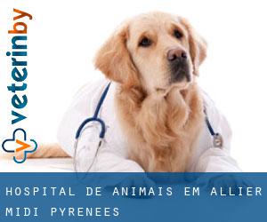 Hospital de animais em Allier (Midi-Pyrénées)