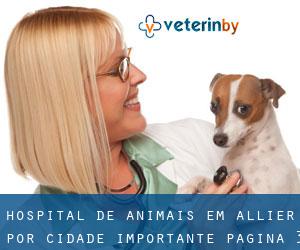 Hospital de animais em Allier por cidade importante - página 3