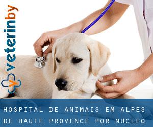 Hospital de animais em Alpes-de-Haute-Provence por núcleo urbano - página 1