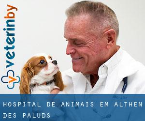 Hospital de animais em Althen-des-Paluds