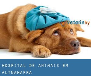 Hospital de animais em Altnaharra