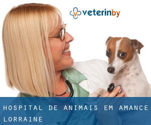 Hospital de animais em Amance (Lorraine)