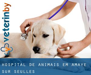 Hospital de animais em Amayé-sur-Seulles