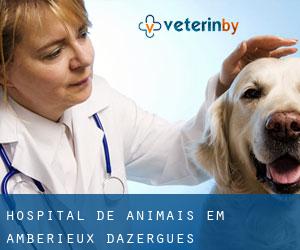 Hospital de animais em Amberieux d'Azergues