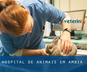 Hospital de animais em Ambía