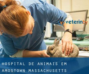 Hospital de animais em Amostown (Massachusetts)