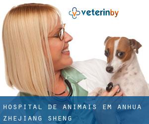Hospital de animais em Anhua (Zhejiang Sheng)