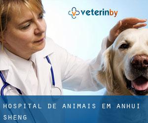 Hospital de animais em Anhui Sheng